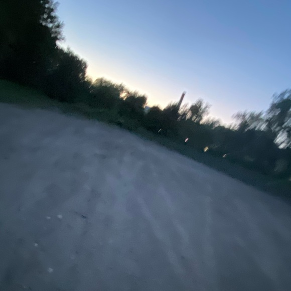 raelynnalamed7
